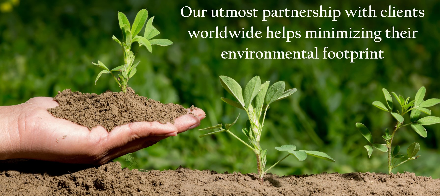 Premium Resource Global Sourcing and Supply Chain Sustainability